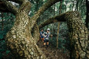 BIB: 
                            <button type="button" onclick="openModal(25393130)" class="btn btn-primary btn-sm float-right btn-popup" data-toggle="modal" data-target=".modal-high-quality">
                        <i class="fas fa-shopping-cart"></i> Add to Cart
                    </button>
                                            <button type="button" onclick="isThisMe(25393130, true)" class="btn btn-success btn-sm float-right btn-popup btn-isme hidden" data-toggle="tooltip" data-placement="bottom" title="นี่คือรูปของคุณใช่ไหม คลิกที่นี่เพื่อเอาเข้าอัลบั้ม">
                        <i class="fas fa-plus"></i> Add to album
                    </button>
                    <button type="button" onclick="isThisMe(25393130, false)" class="btn btn-warning btn-sm float-right btn-popup btn-isnotme hidden">
                        <i class="fas fa-ban"></i> Remove from album
                    </button>